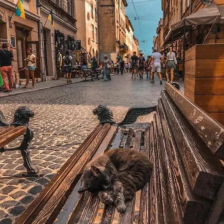 Large & Modern Flat With Balcony In Heart Of Lviv